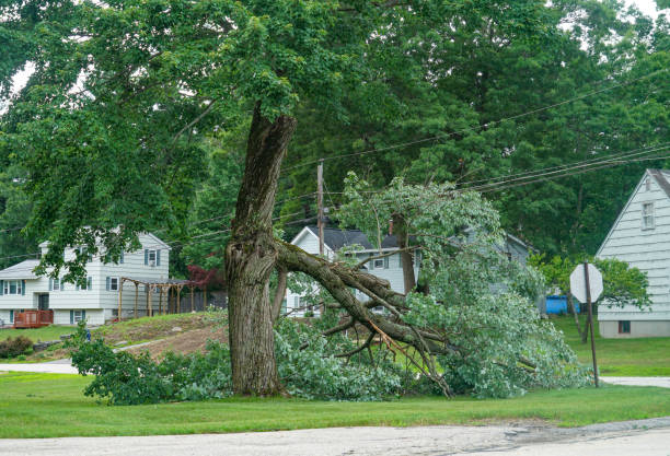 Lawn Drainage Solutions in Coudersport, PA